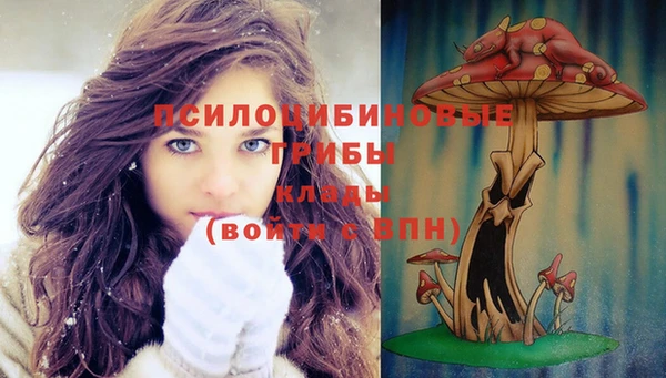 метамфетамин Липки