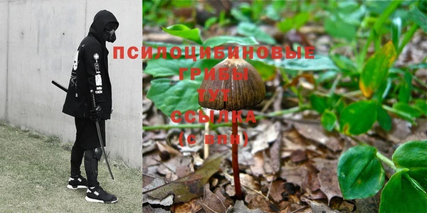 метамфетамин Липки