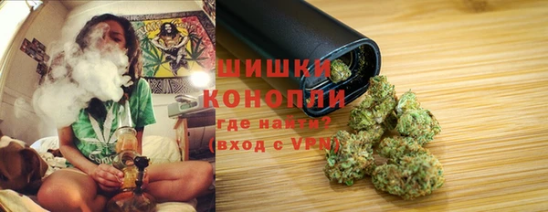 гидра Наволоки