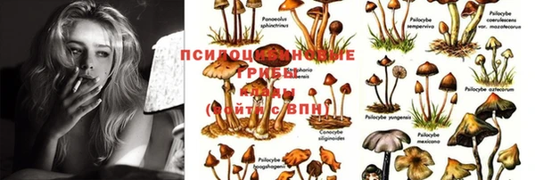 первитин Лихославль