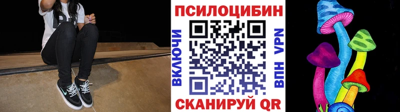 Псилоцибиновые грибы Psilocybe  купить  цена  Шацк 